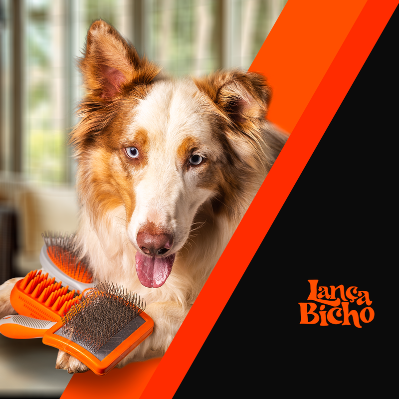 Vantagens dos Kits Lança Bicho: Banho e Tosa