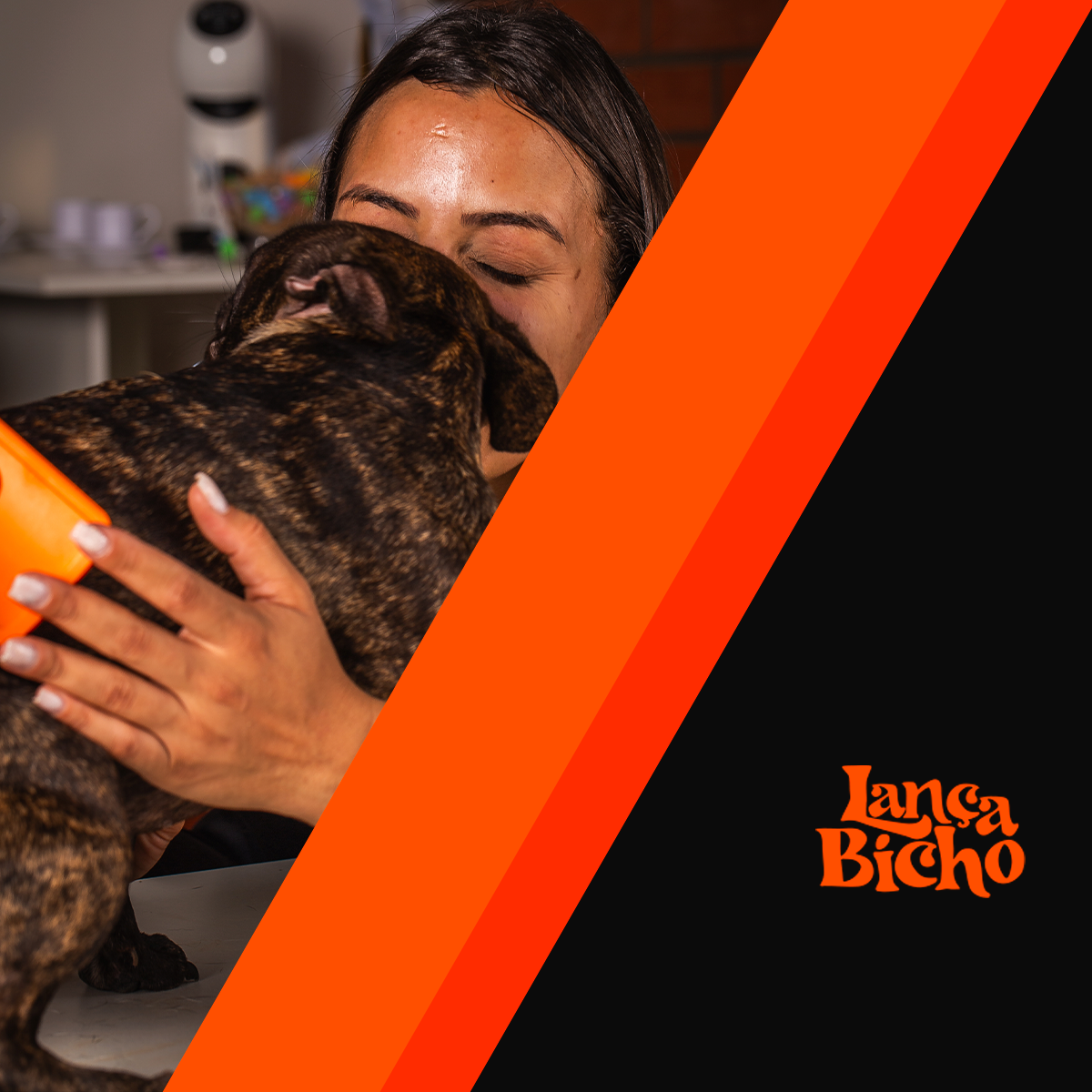 Como as redes sociais podem transformar sua carreira de groomer