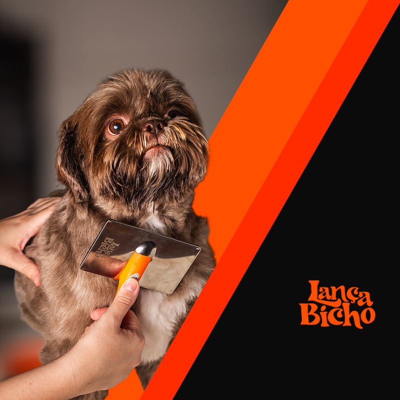 Visagismo Animal
